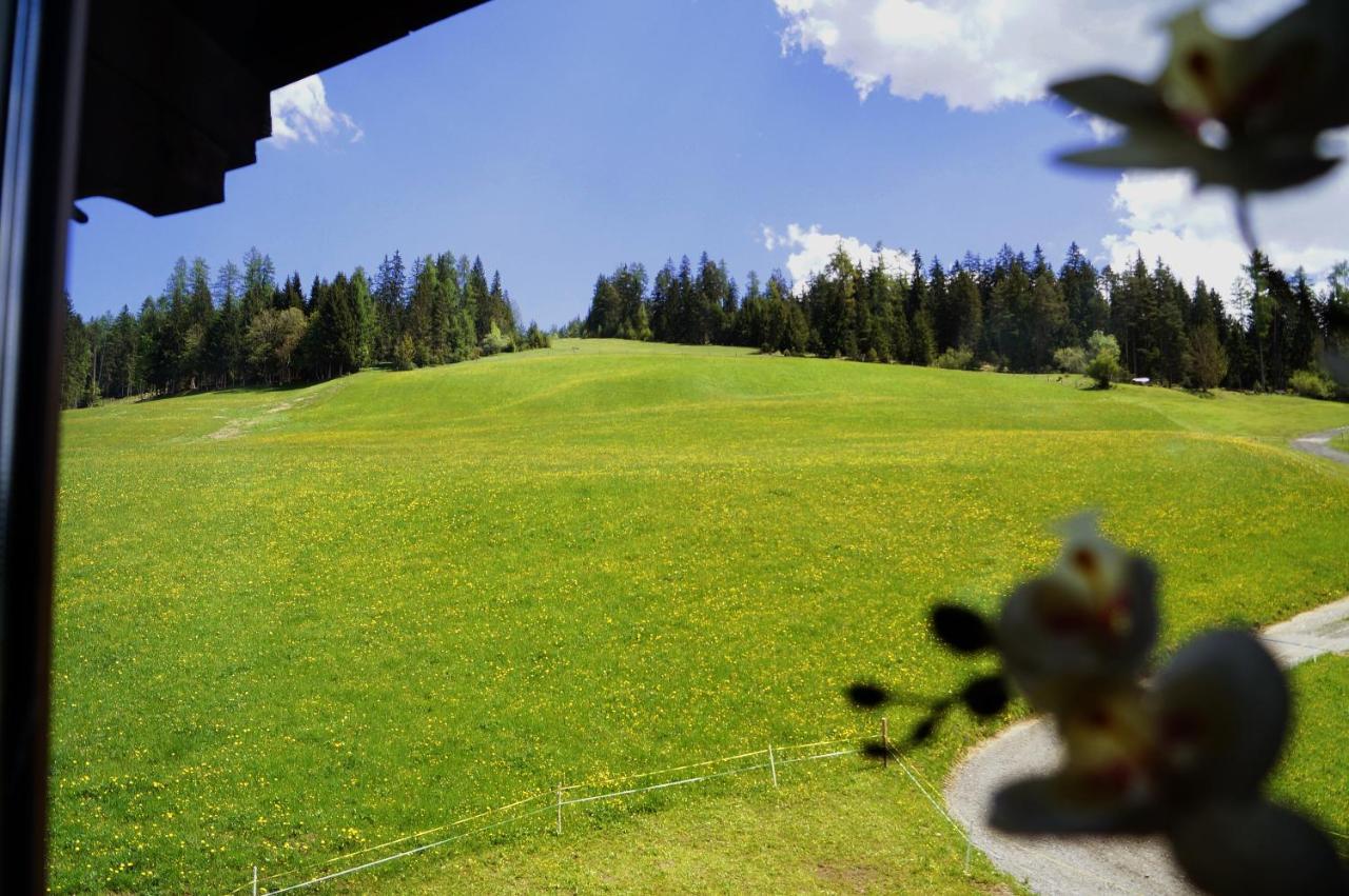 Sauschneidhof - Radstadt Eksteriør bilde